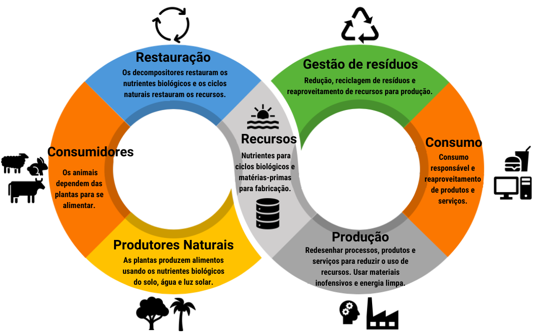 Qual é a diferença entre Economia Circular e Sustentabilidade Movimento Verdades Sustentáveis